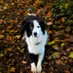 Lynn Ellis (@lynnell78246468) Twitter profile photo Lynn Ellis (@lynnell78246468) Twitter profile photo