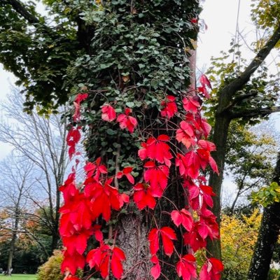 rcajongte's profile picture. PhD Candidate @ptseminary. Some Barth, mostly liberation theologies, doctrinal & indigenous theologies (particularly from Northeast India)