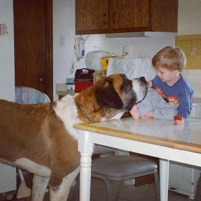 anthony_helsel's profile picture. 