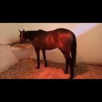 sinan özgül (@zglsinan) 's Twitter Profile Photo sinan özgül (@zglsinan) 's Twitter Profile Photo