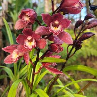 Jesse Dexter (@jessedexter5) 's Twitter Profile