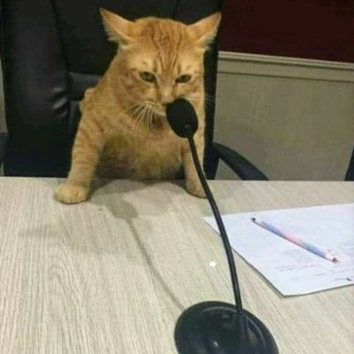 bloopperi's profile picture. left communist,
constientious objector,
atheist,
straight edge,
finnish,
21