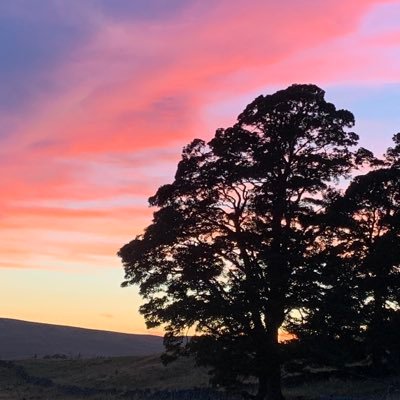 glassortwo's profile picture. 