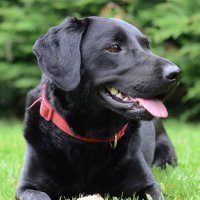 Tim Evans (@timevans500) 's Twitter Profile