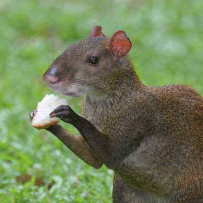 aemirror's profile picture. Learning Cybersecurity & Data Science