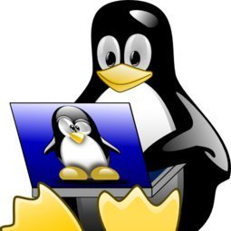 linuxkumpel Profile Picture