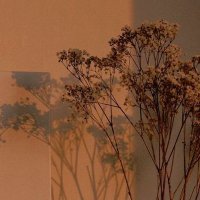 B.i🥀 (@ismaeilbassant) Twitter profile photo