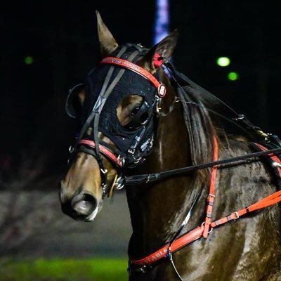 Stratton Stable located at Mark Ford Training Center in Middletown NY. Racing primarily at Yonkers Raceway.