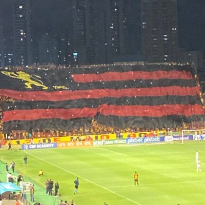 apaixonado pelo sport club do recife!