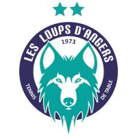 Les Loups d'Angers 🐺(@loupsdangers) 's Twitter Profileg