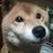 GKeori's profile image