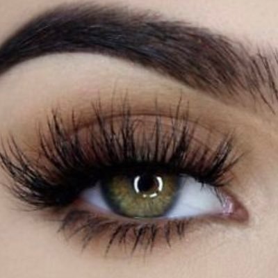 The_Jersey_Gal's profile picture. 🇺🇸 #God 🇺🇸 #Wife 🇺🇸 #Mother 🇺🇸 #MAGA 🇺🇸 #KAG 🇺🇸 #Trump 🇺🇸 #AmericaFirst 🇺🇸#Israel 🇮🇱 🚫DM’s Trump trader’s need not follow me!