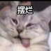 hahakykd (@lalalawang1) Twitter profile photo hahakykd (@lalalawang1) Twitter profile photo