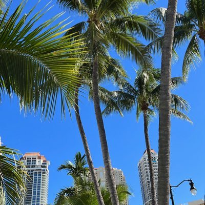 CamiloCorrea20's profile picture. 