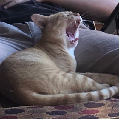 hwnsdu's profile picture. อยากรวย