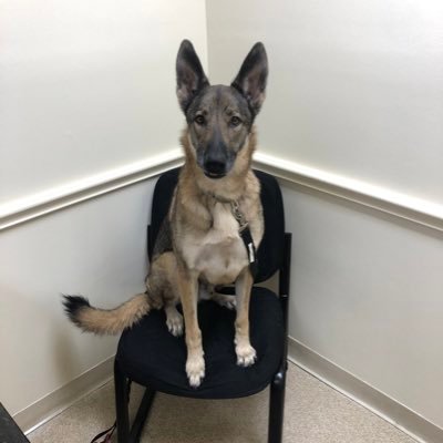 zcctexas's profile picture. 