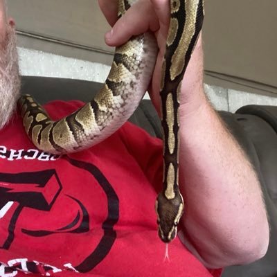 rcjhfan4life's profile picture. 