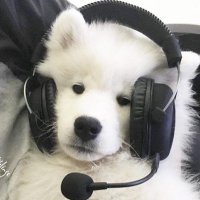 5 (@etdemxxn) 's Twitter Profile Photo 5 (@etdemxxn) 's Twitter Profile Photo
