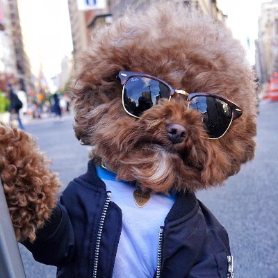 Beovvulf32's profile picture. Me