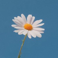🧚♂️ (@fairystufff) 's Twitter Profile