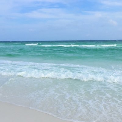 maggiebrown08's profile picture. 