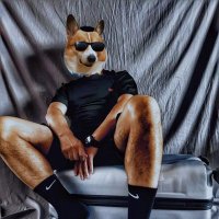 夯大力 (@da17505) 's Twitter Profile