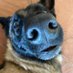 Unsavory character (@unsavorymove) Twitter profile photo