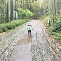 江波 (@broglie_j) 's Twitter Profile