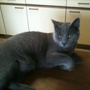 Patrick Verheyen - @blank1965 - Twitter