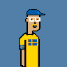 TheCryptoSwedes's profile picture. 10000 unique CRYPTO SWEDES living on the Polygon blockchain