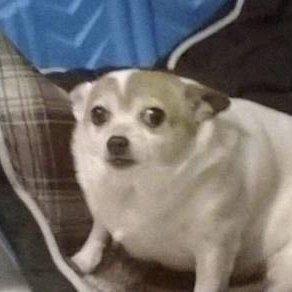 AWAW54188's profile picture. 