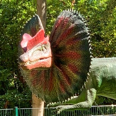 Pim60597448's profile picture. Gepensioneerd. Verafschuw D66 en kartelvorming. Droeftoeter landje. ik stem op PVV. 😀 trots op Martin Bosma.