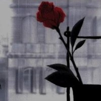 . (@ak6bprnikljcixr) 's Twitter Profile