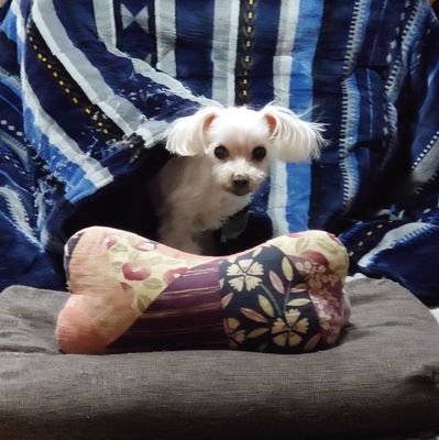 sBSWAfazChdDsk7's profile picture. 落語に60過ぎてからふれて  感謝です。💕楽しいです。ありがとう🎵二葉さんを知って 沢山の落語家さんを知り  落語にふれて 幸せ🍀
介護で返信など出来ないので申し訳ありません