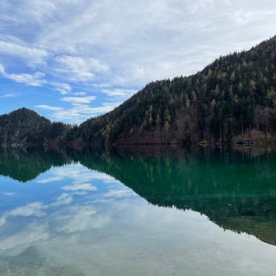 FranziFranzine's profile picture. 