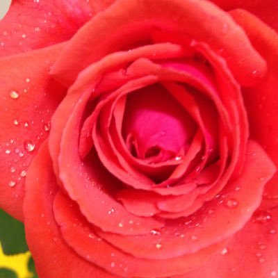 robro23's profile picture. 