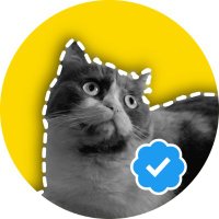 Ms. Cat Memes(@gatitasays) 's Twitter Profile Photo