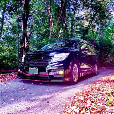 sugurudesu's profile picture. エルグランドに乗ってます。 車好き、犬好きさん交流よろしくお願いします。