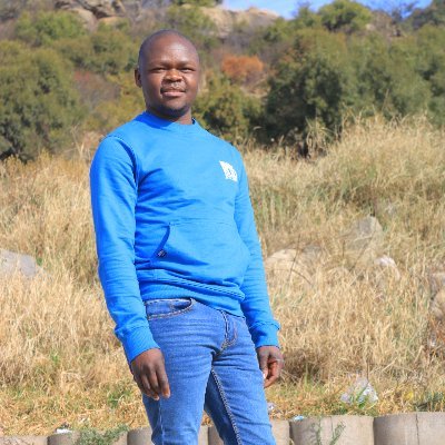 makatisempemi's profile picture. Professional Architects And Contractors