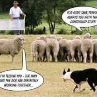 Wildsilver (@wildsilver4) 's Twitter Profile Photo