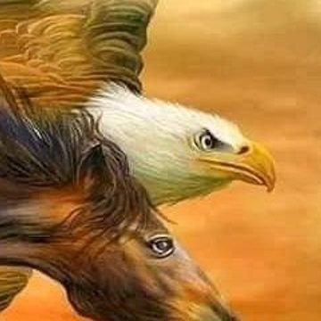 mmdlrby94340192's profile picture. هيا ياصقر 
حلق عاليا نحو الحرية إفرد جناحاك إستعيد قوتك فقد عشت حرا 
فلاتنحنى ولاتسقط
يوما ما سيسقط كل الطواغيت 
هذا وعد ربى