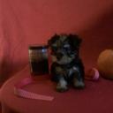 RileyBenjamin - @riley_benjamin - Twitter