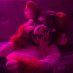 🏵️ (@arffterdark) Twitter profile photo 🏵️ (@arffterdark) Twitter profile photo
