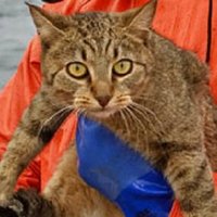 Cooper Bullock (@bullocooper) 's Twitter Profile