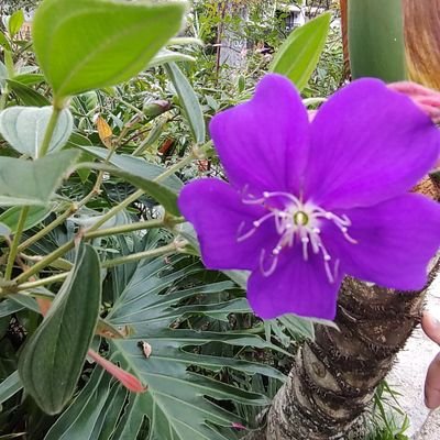 A maior potência para manter a integridade do homem nos tempos modernos é o amor a Deus e à Sua verdade. 🌾🕊️💖