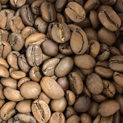 2013_fa7ad's profile picture. بدون بايـو ✋🏻