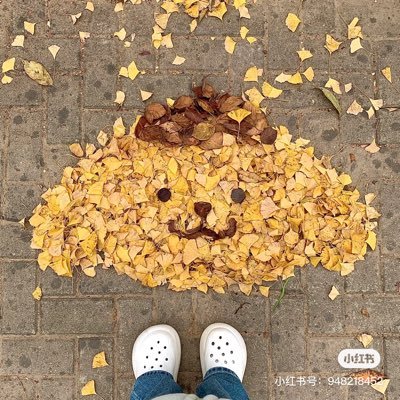 SiyuLiu0204's profile picture. the longing for love, the search for knowledge, and unbearable pity for the suffering of mankind