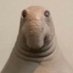 BODEGA VENETA (@fellahadid) Twitter profile photo BODEGA VENETA (@fellahadid) Twitter profile photo