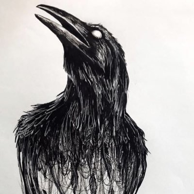 GWegmann11's profile picture. Binäritäts- Ultra