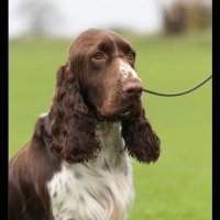 Griff Bebb-Sutton (@bebbkath) 's Twitter Profile